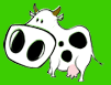 Vache